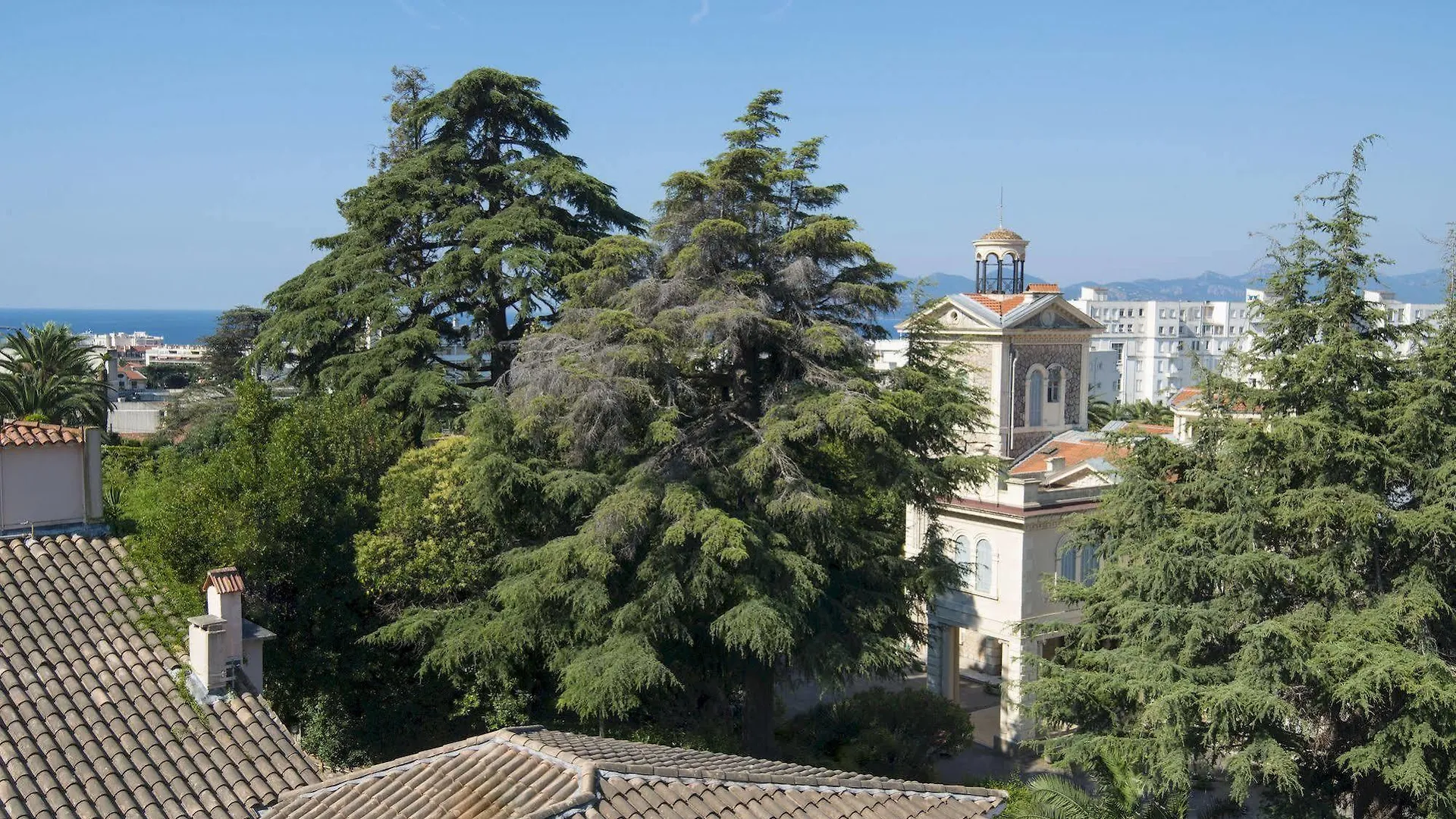 Hotel La Bastide De L'Oliveraie Cannes